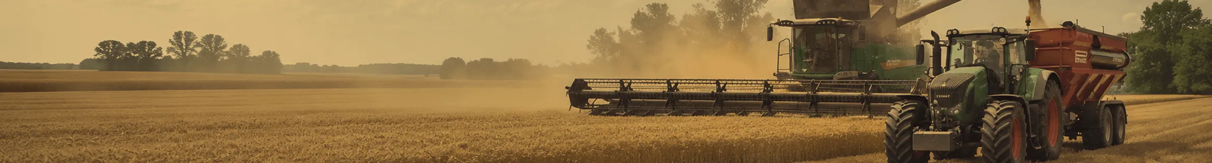 grain